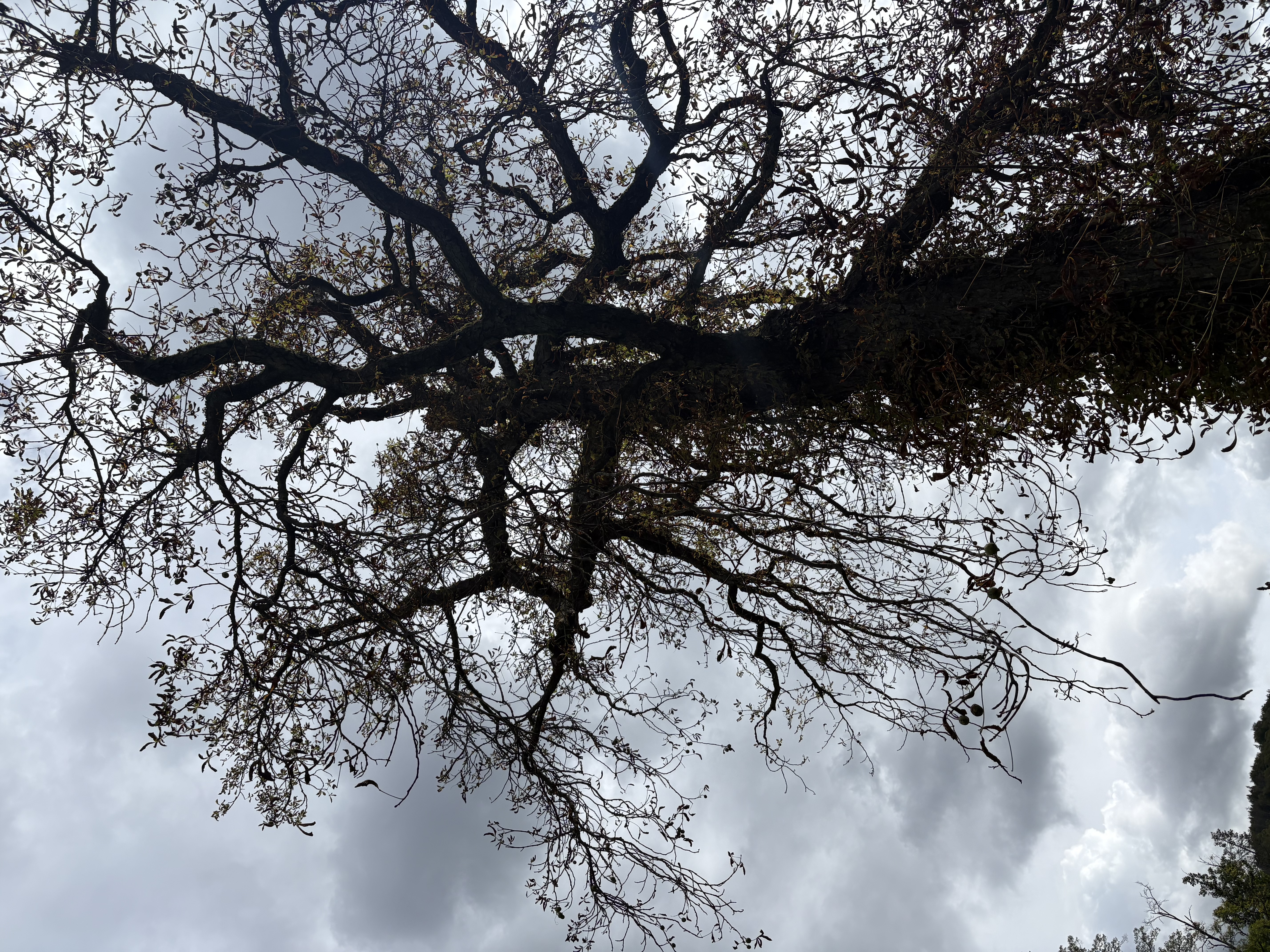 IMG_0882.jpeg
