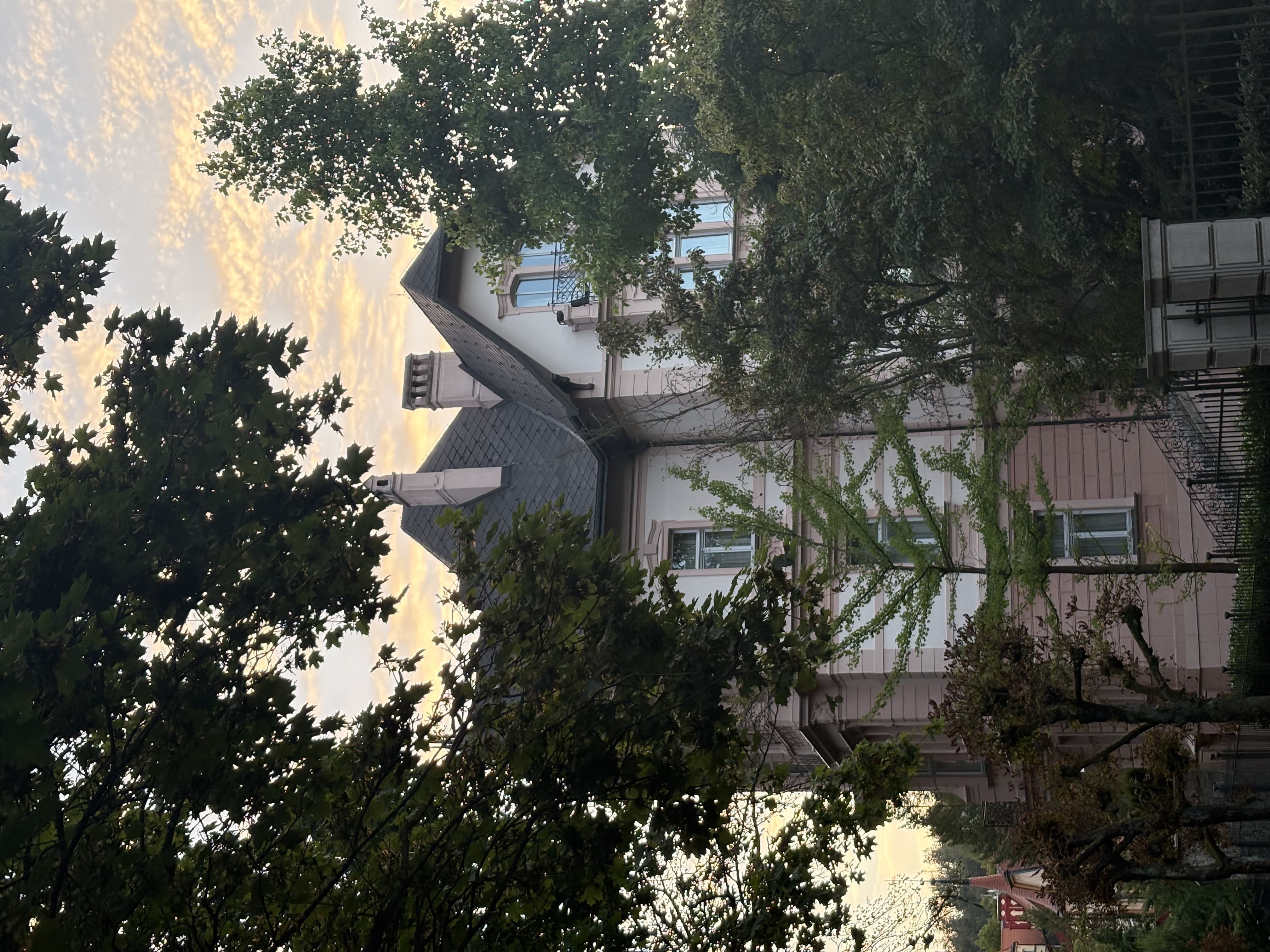 IMG_1343.jpeg