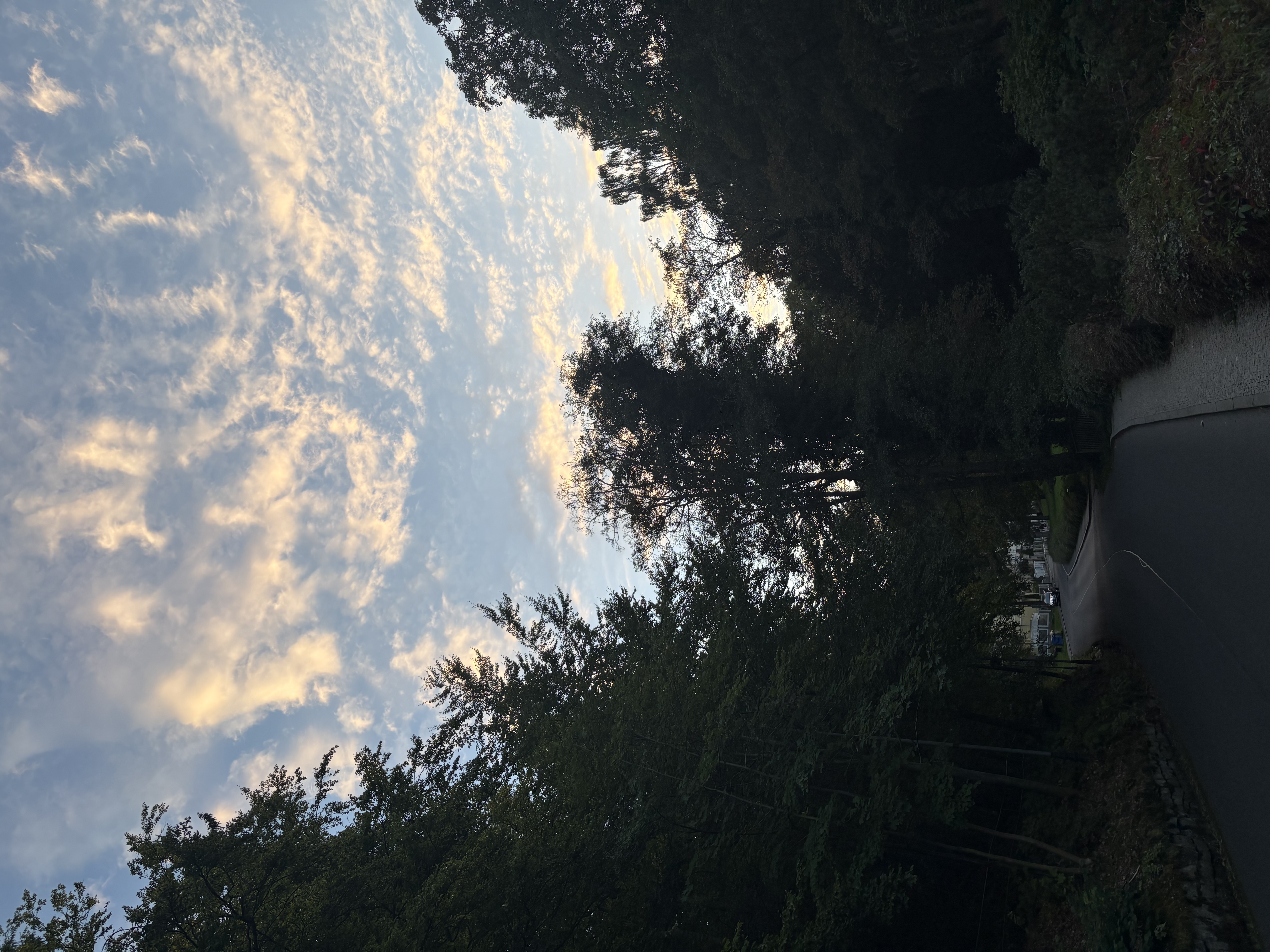 IMG_1344.jpeg