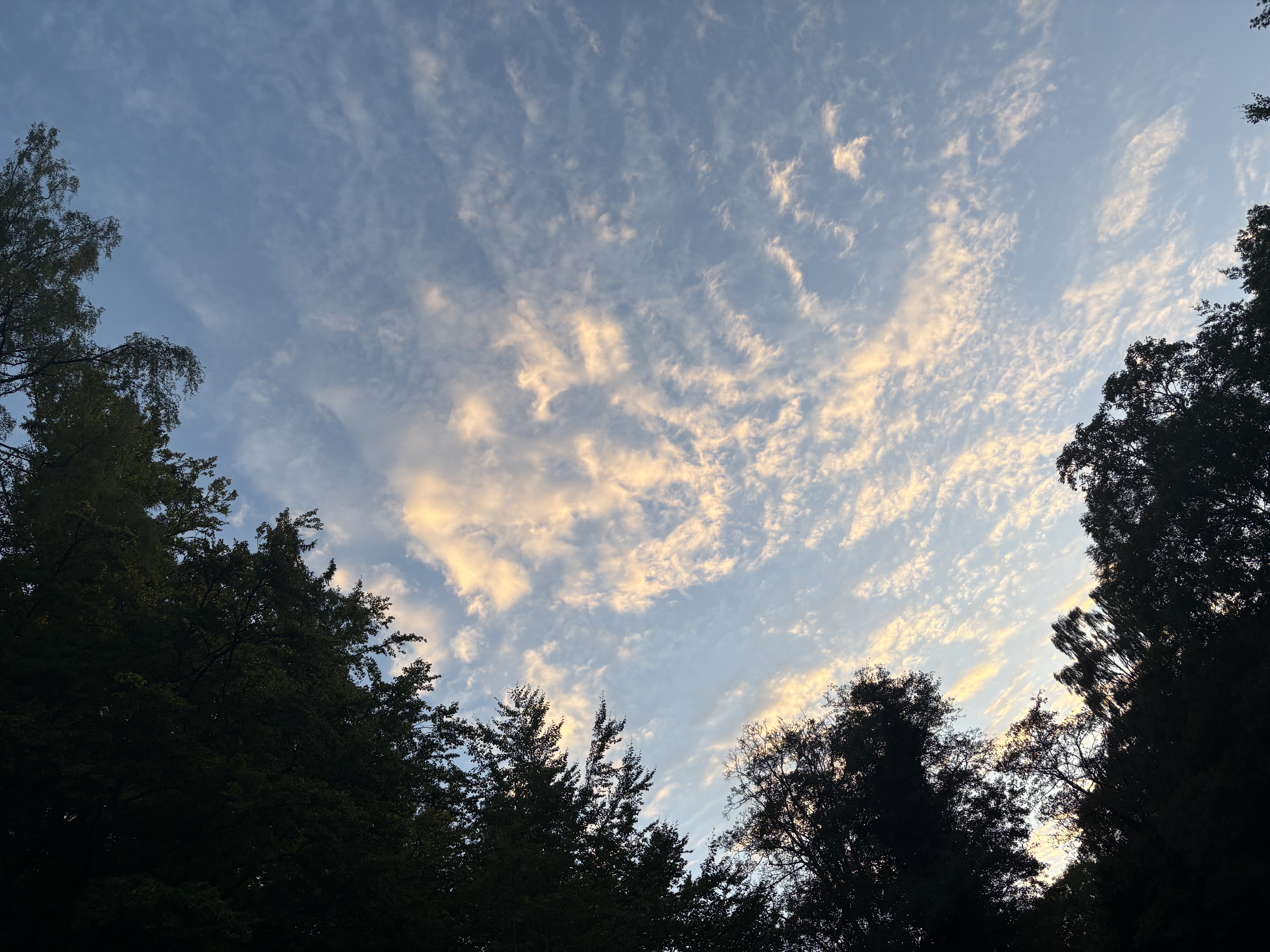 IMG_1345.jpeg