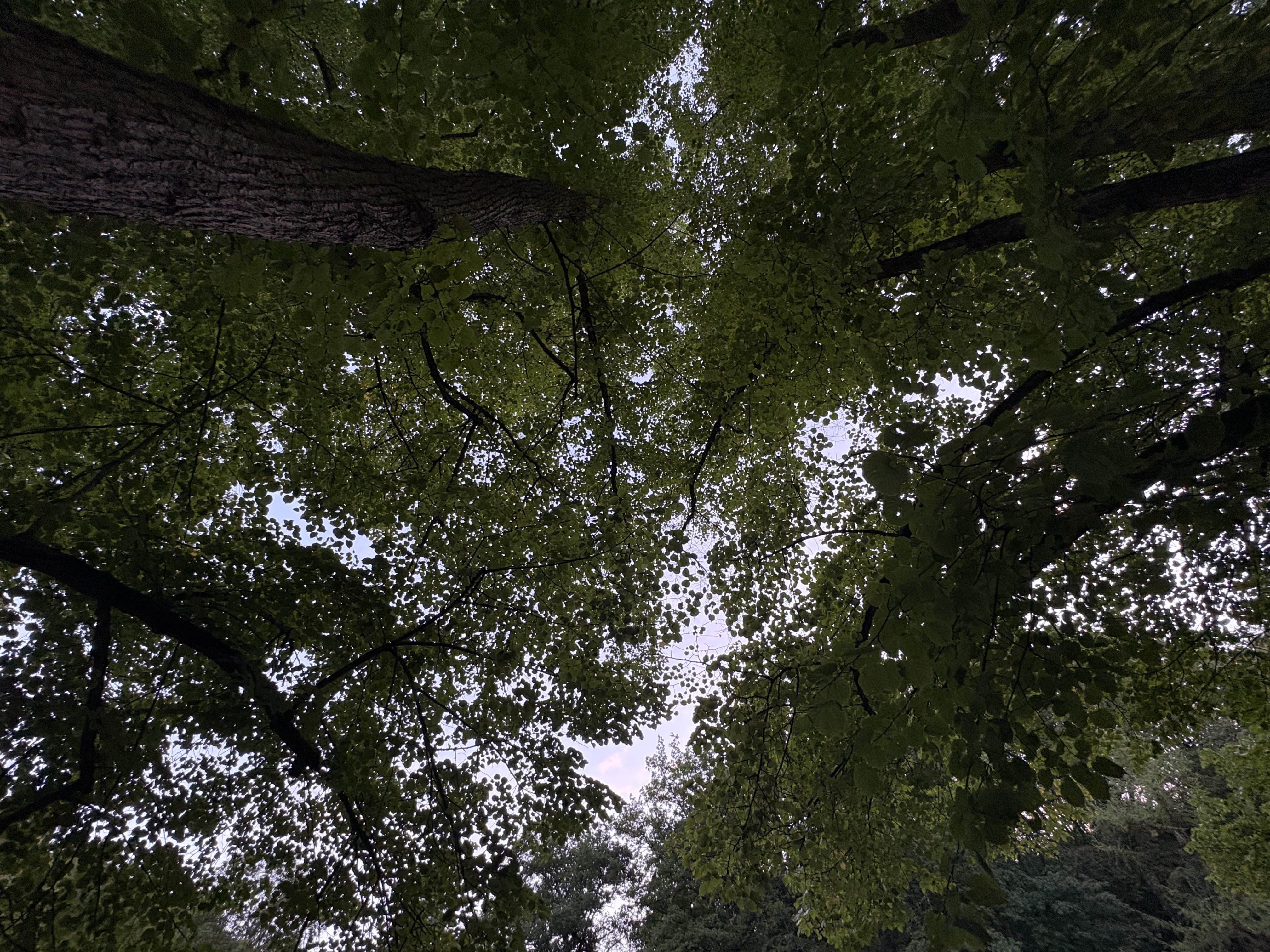 IMG_1355.jpeg