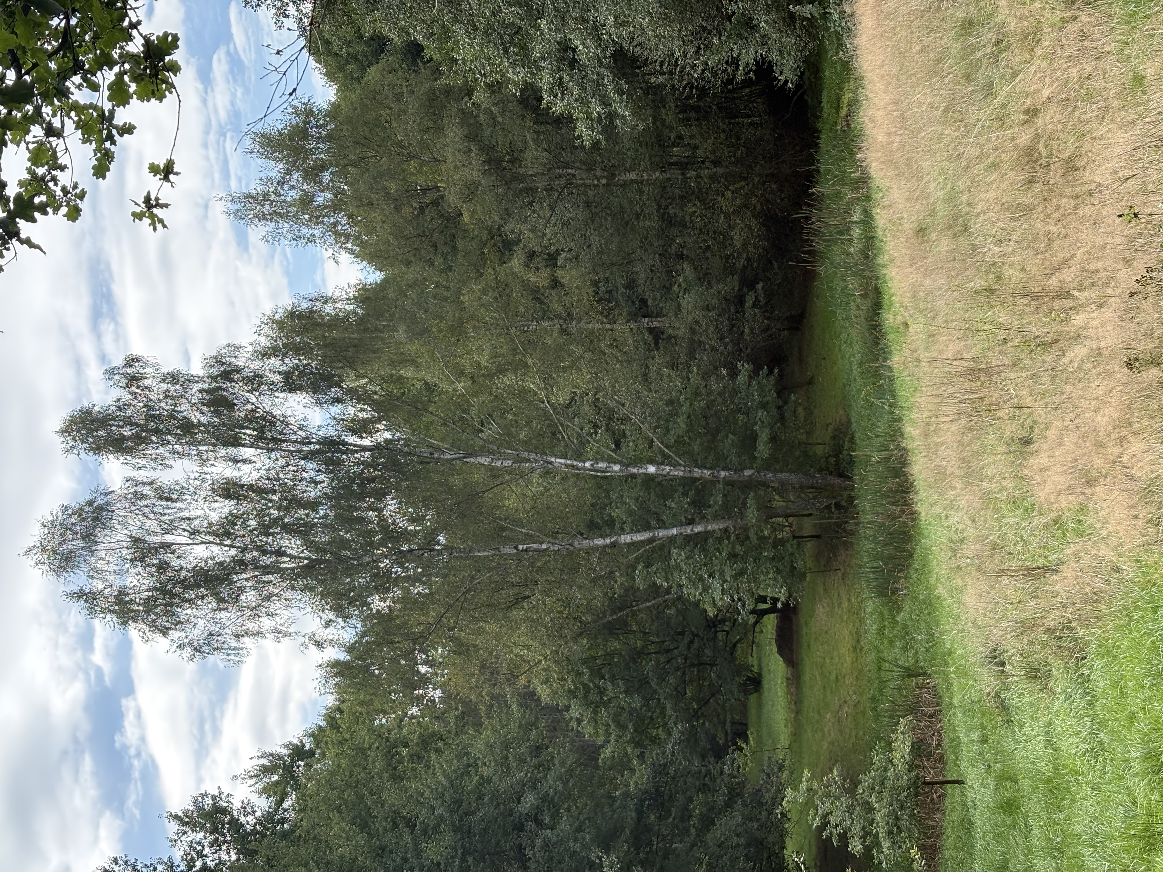 IMG_1691.jpeg