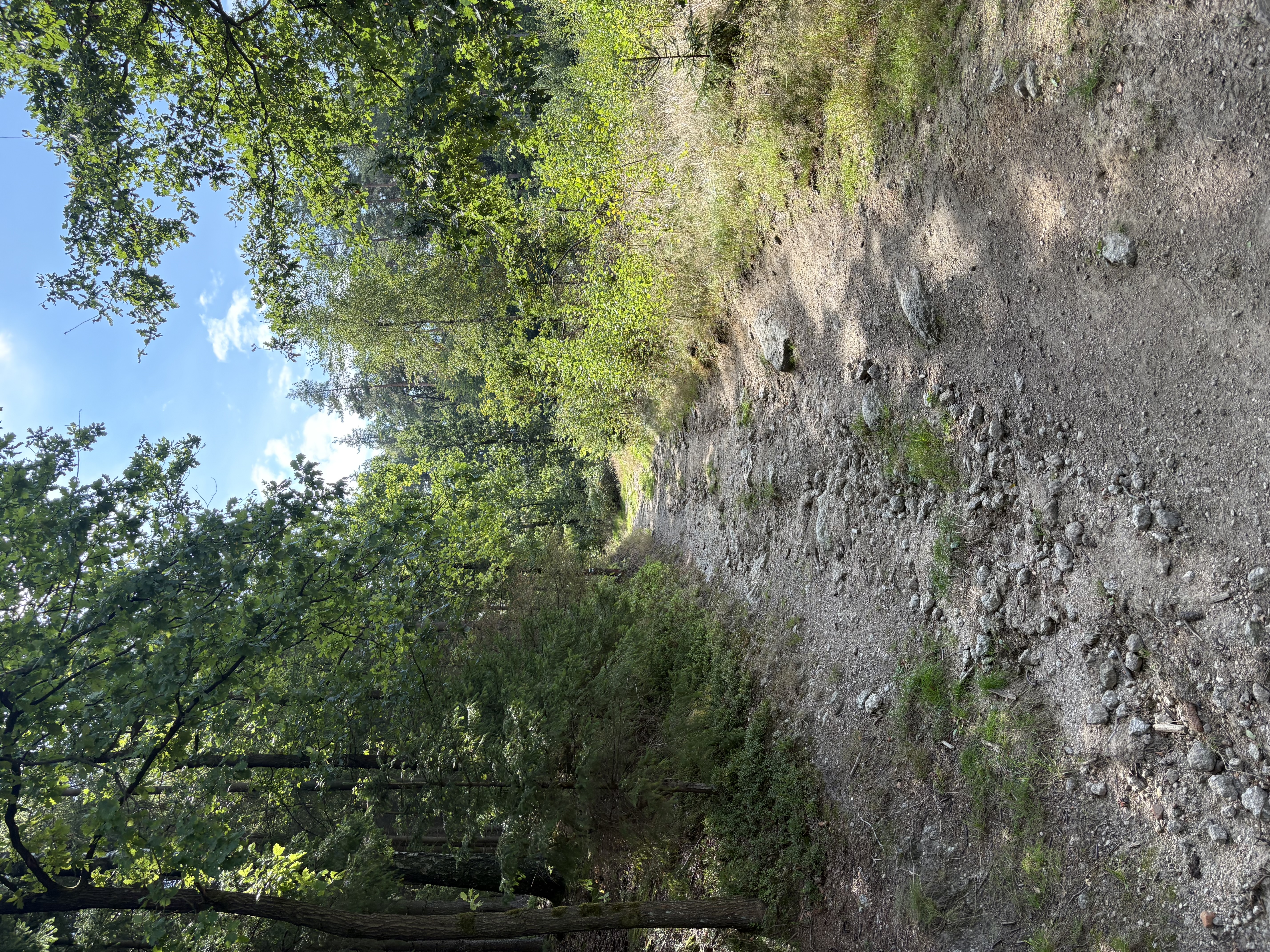 IMG_1698.jpeg