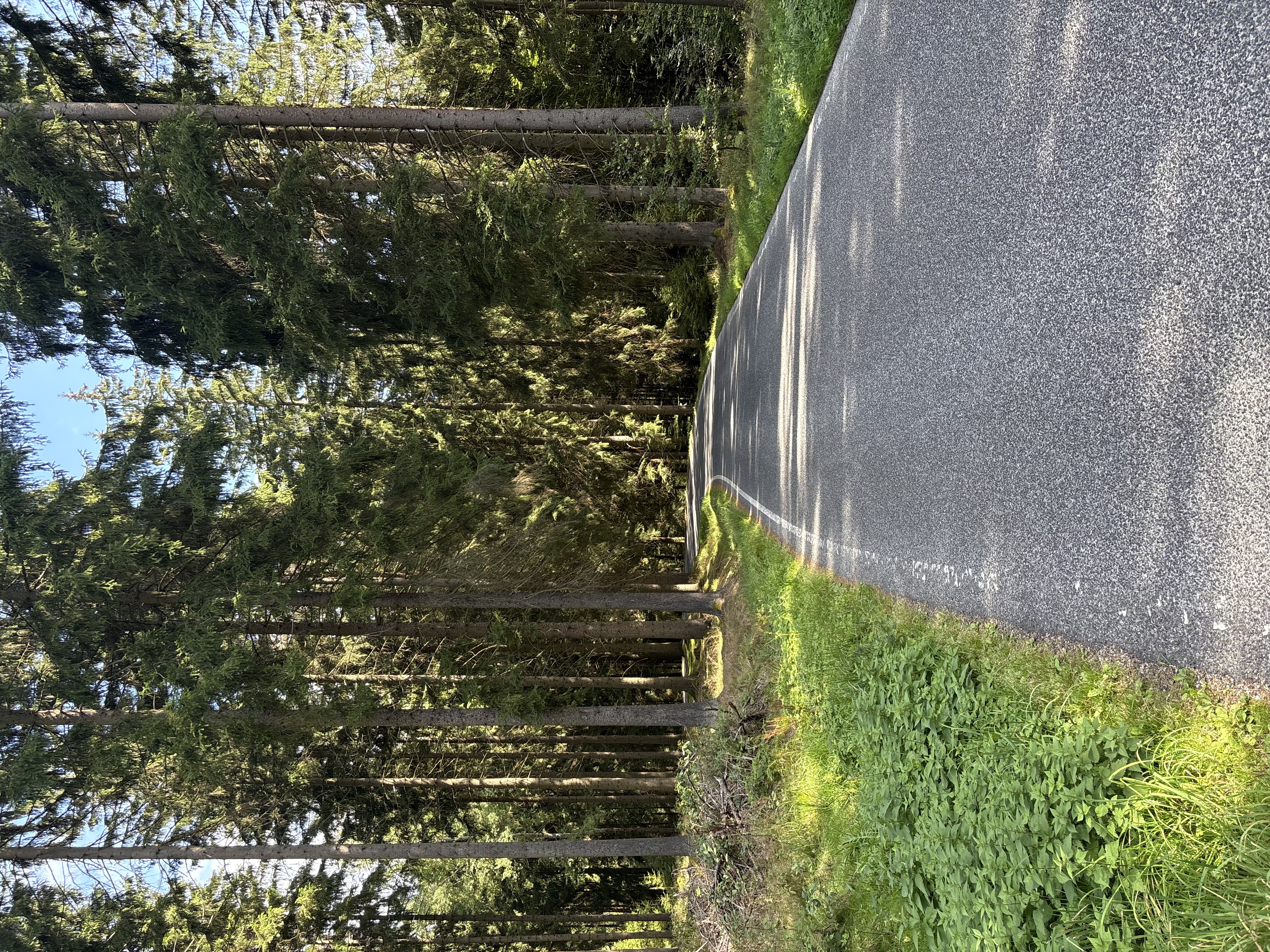 IMG_1709.jpeg