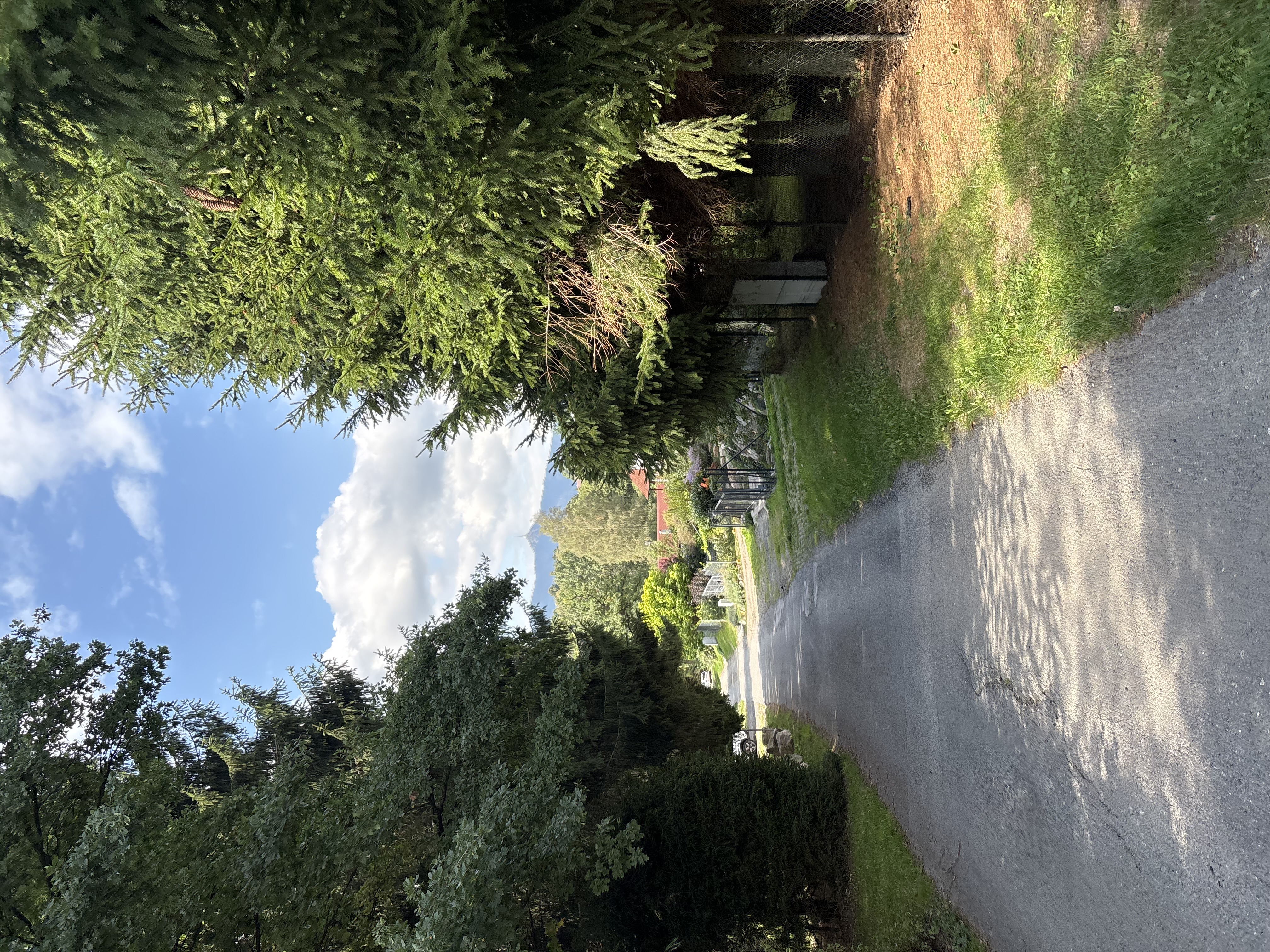 IMG_1712.jpeg