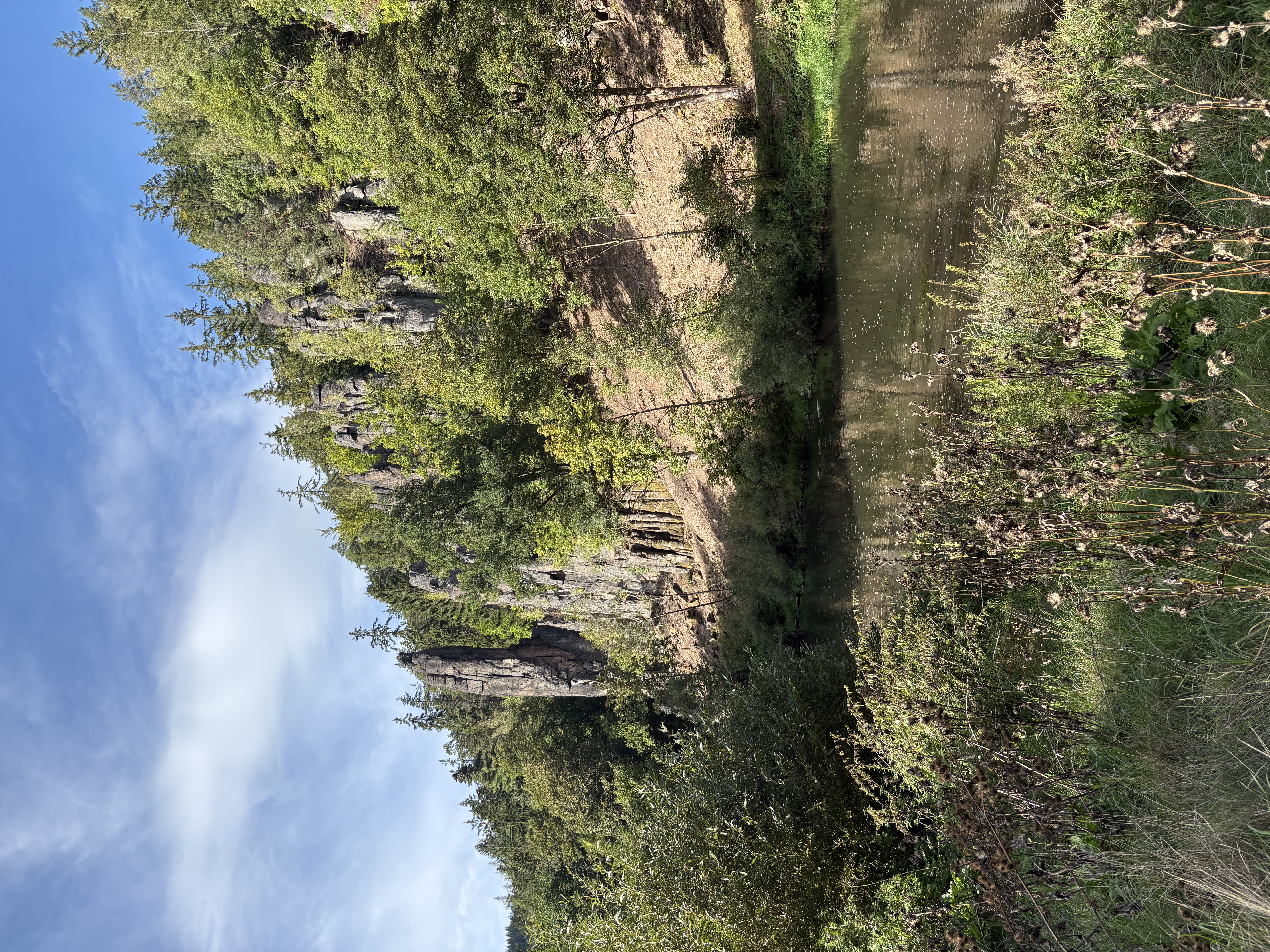 IMG_1993.jpeg