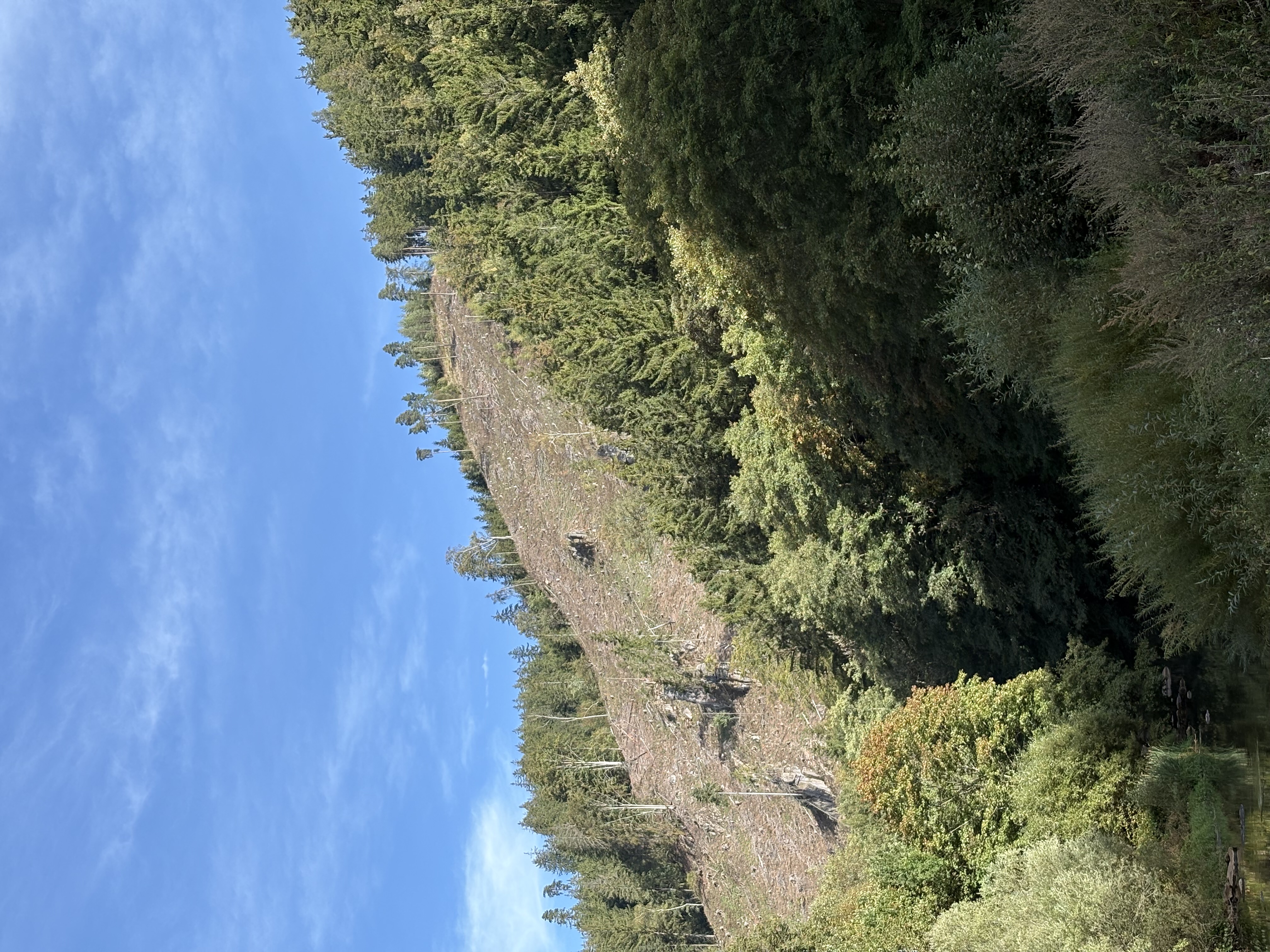 IMG_1995.jpeg