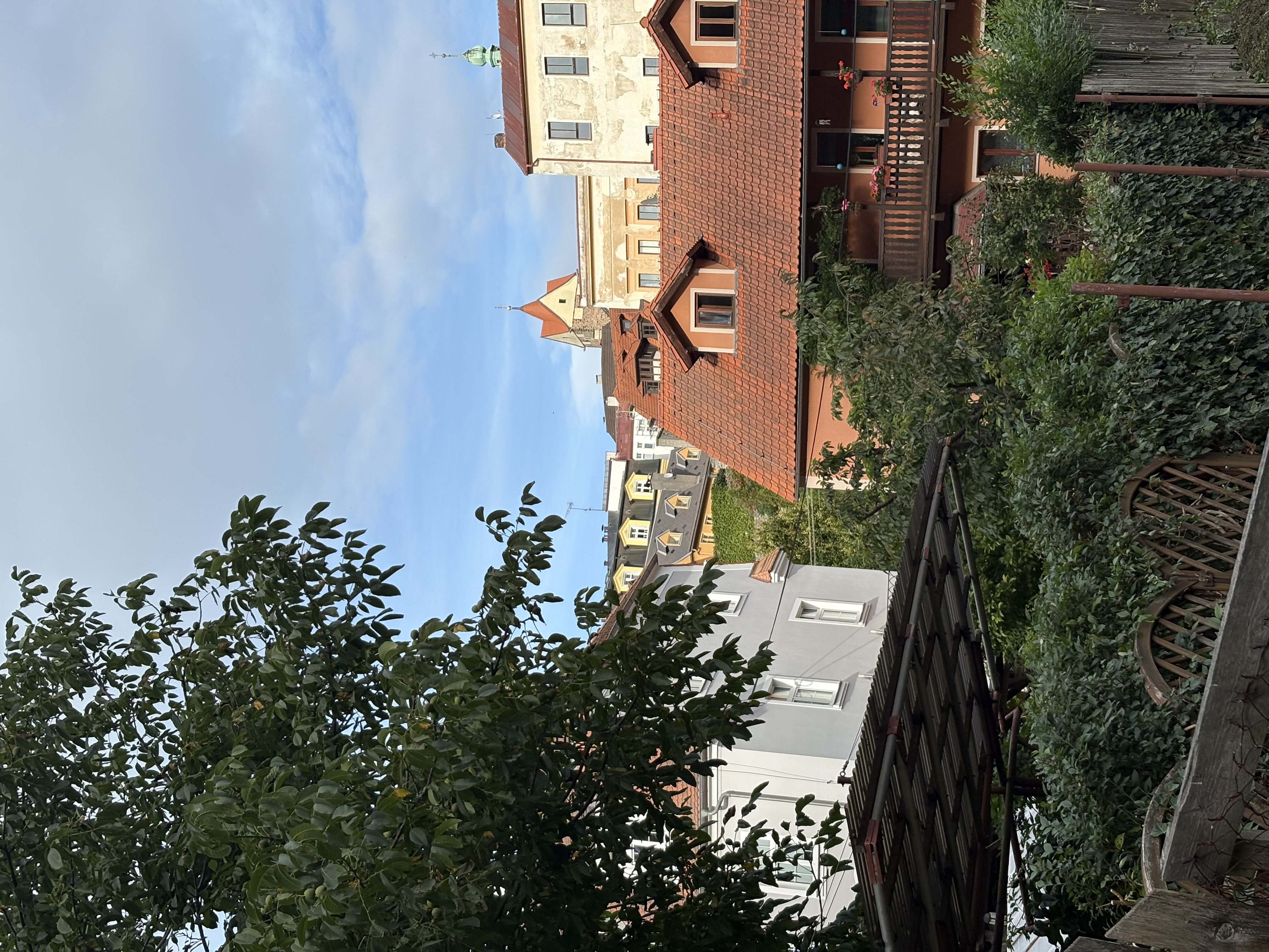 IMG_1997.jpeg