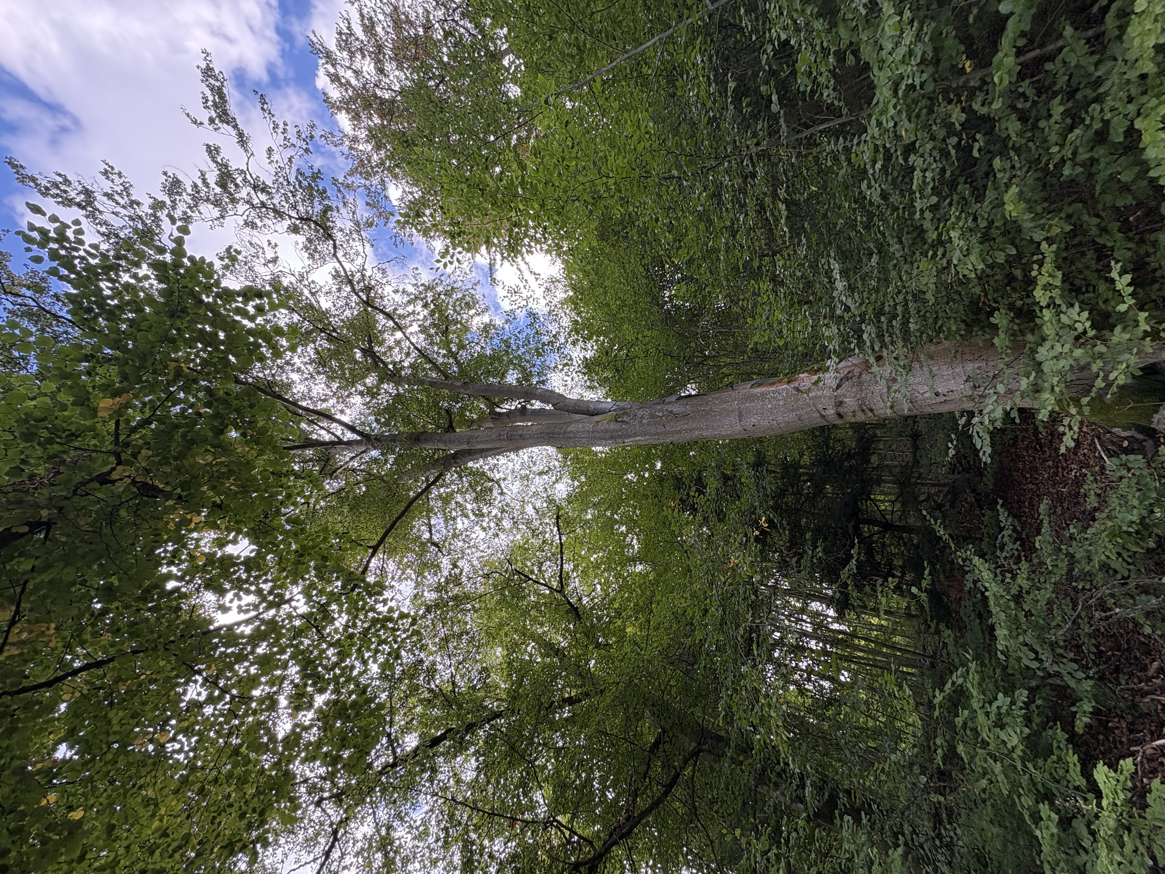 IMG_2103.jpeg