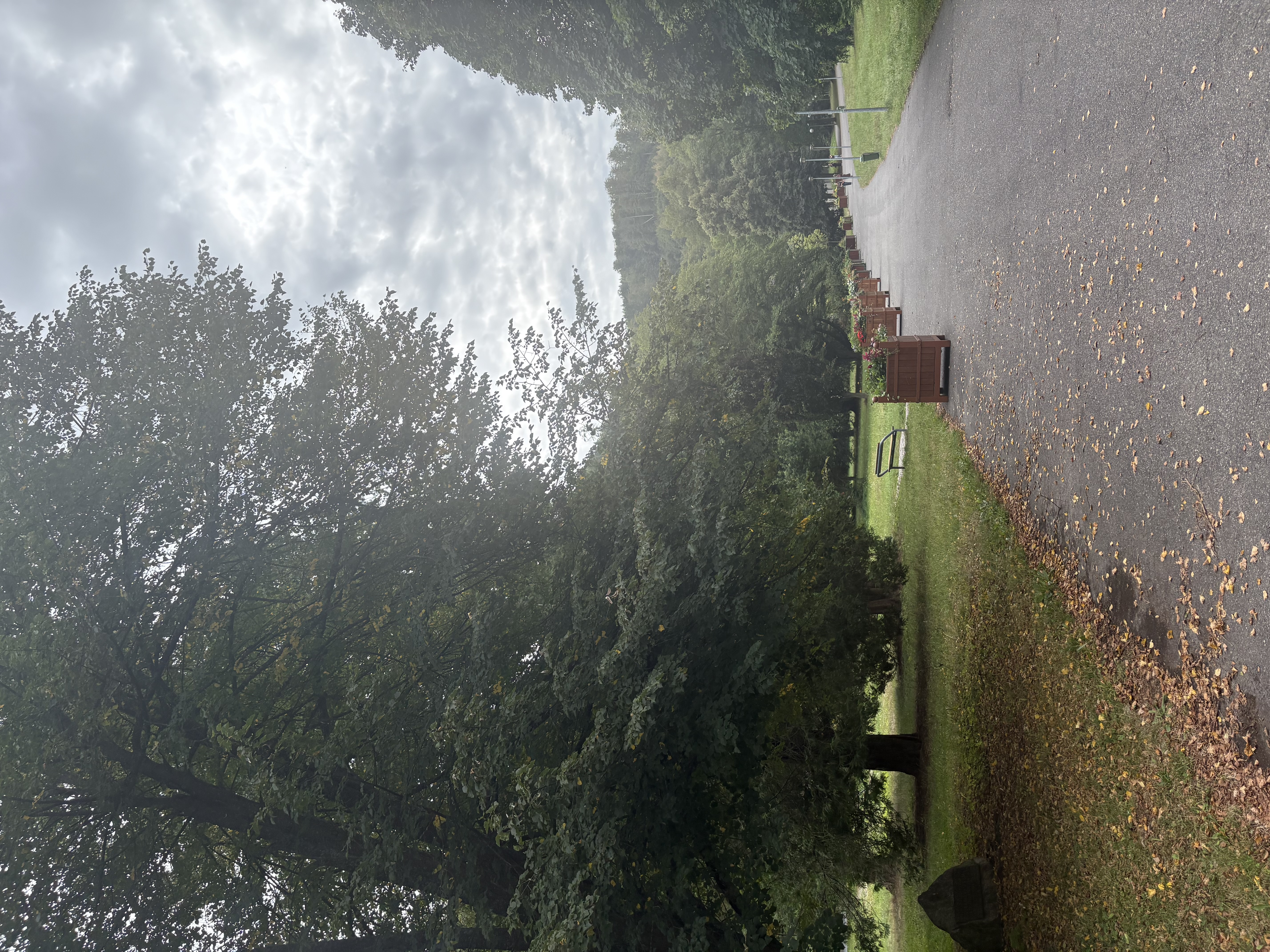 IMG_0295.jpeg