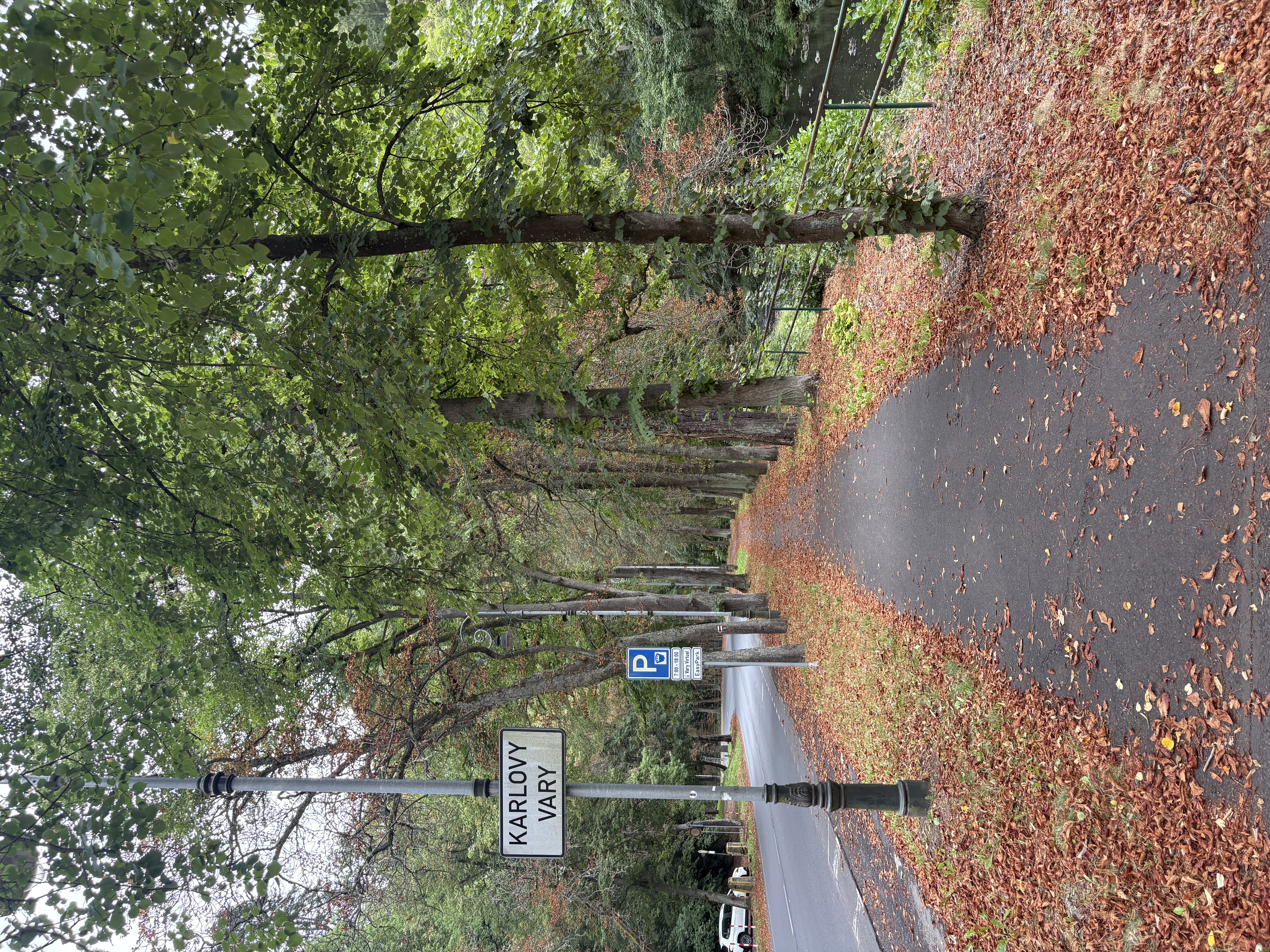 IMG_0309.jpeg